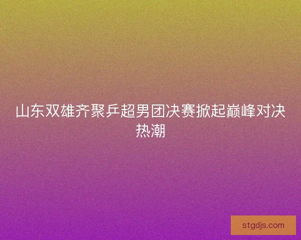 山东双雄齐聚乒超男团决赛掀起巅峰对决热潮