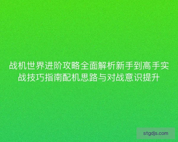 战机世界进阶攻略全面解析新手到高手实战技巧指南配机思路与对战意识提升